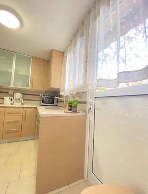 Elias' Family Flat In Plato's Academy